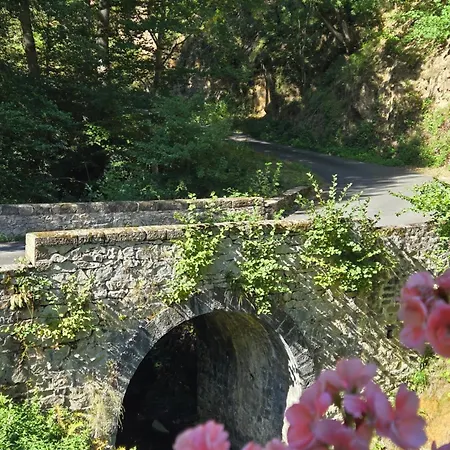 Le Moulin Du Clos *